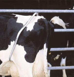 Anti-Kick Bar Machine Manufacturer, Wholesaler, Trader In Maharashtra, India