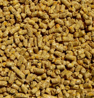 Goat Feed Manufacturer, Wholesaler, Trader In Maharashtra, India