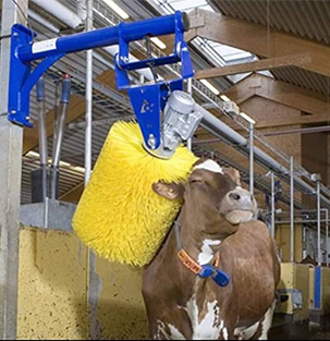 Scrubber Brush Manufacturer, Wholesaler, Trader In Maharashtra, India